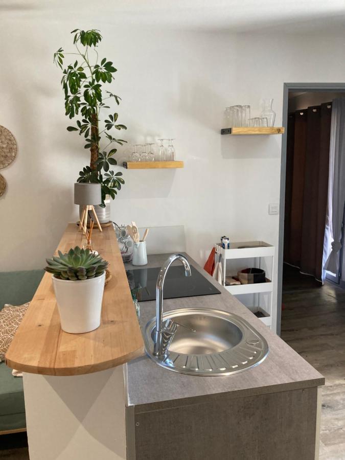 Ferienwohnung Bienvenue Chez Marie Pierre Oloron-Sainte-Marie Exterior foto